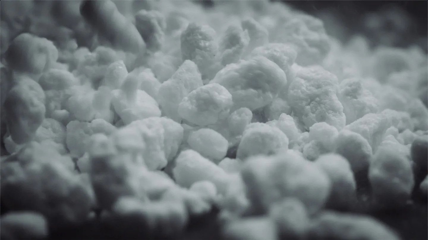 Close-up of white granules